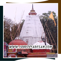 Thiru Naimisaranyam Divyadesam Sri Devaraja Perumal Temple Lucknow Uttarpradesh eight swayam Vyaktha kshetrams