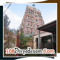 Devotees at Oppiliappan Temple festival Panguni chariot event