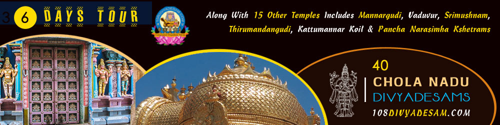 South India temple tour for seniors visiting Chola Nadu Divyadesams