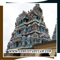 Chola era stone carvings at Sree Saranatha Perumal Temple
