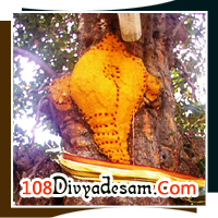 Sree Vaiyam Katha Perumal Temple Sangama Kshetram Cauvery river confluence