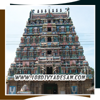 Festivals and rituals at Thirunarayur Divya Desam sacred shrine