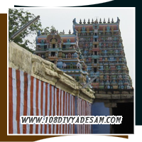 Srivaikundam Divyadesam Sri Vaikunda Natha Perumal Temple Surya Bhagwan Dosha Parikara Sthalam Nava Tirupati