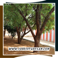 Badra Theertham sacred temple tank at Then Thirupperai Vaishnavite shrine