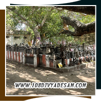 Chandra Pushkarini temple tank and sacred Banyan tree at Thirupullani Divyadesam pilgrimage site
