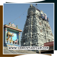 Triplicane Parthasarathy Perumal Temple Thiru Allikeni Divyadesam Lord Krishna Family Worship