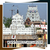 Triplicane Parthasarathy Divyadesam Heritage Temple Visit On Tamil Nadu Pilgrimage Tour