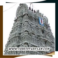 Thiru Allikeni Divyadesam Sacred Vishnu Temple In Chennai For Devotees And Tourists